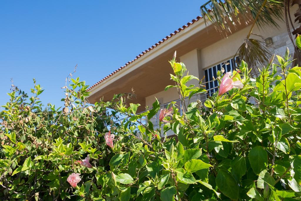 Sunset Beach House Kato Alepokhorion Ngoại thất bức ảnh